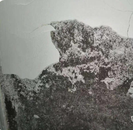 深圳墙体返碱发霉治理 宝安龙岗全屋墙面防潮除霉