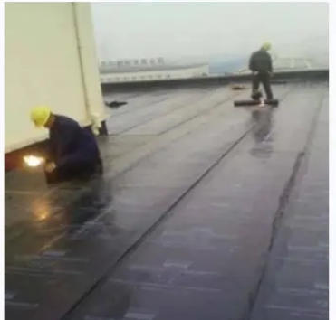 辨别防水施工游击队与正规公司，深圳业主避雷选购要点汇总
