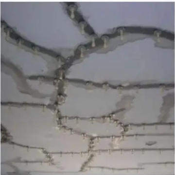 钢结构厂房防腐防水一体化施工需求上涨，深圳工业修缮市场火热